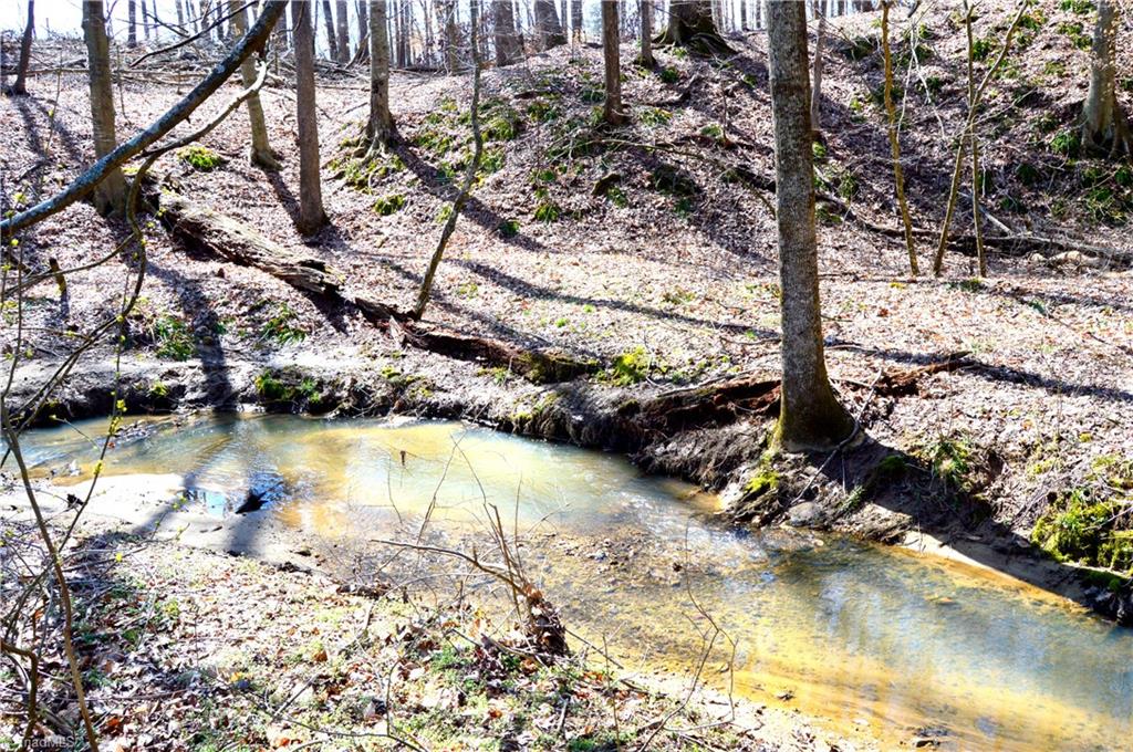 0 O Obryant Road Reidsville, NC 27320 - Photo 11 of 16 Gallery Image 11