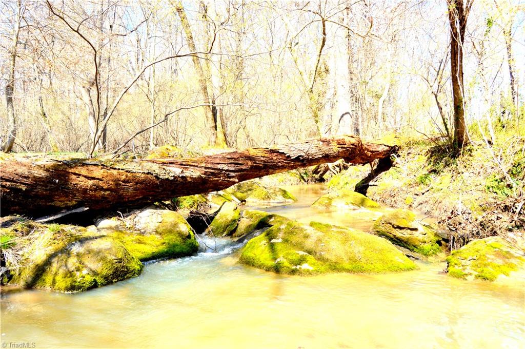 0 O Obryant Road Reidsville, NC 27320 - Photo 13 of 16 Gallery Image 13