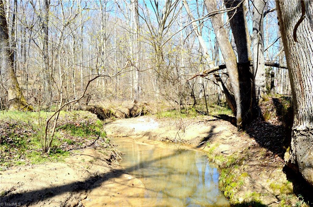 0 O Obryant Road Reidsville, NC 27320 - Photo 14 of 16 Gallery Image 14