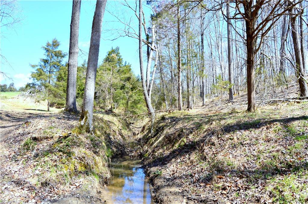 0 O Obryant Road Reidsville, NC 27320 - Photo 15 of 16 Gallery Image 15