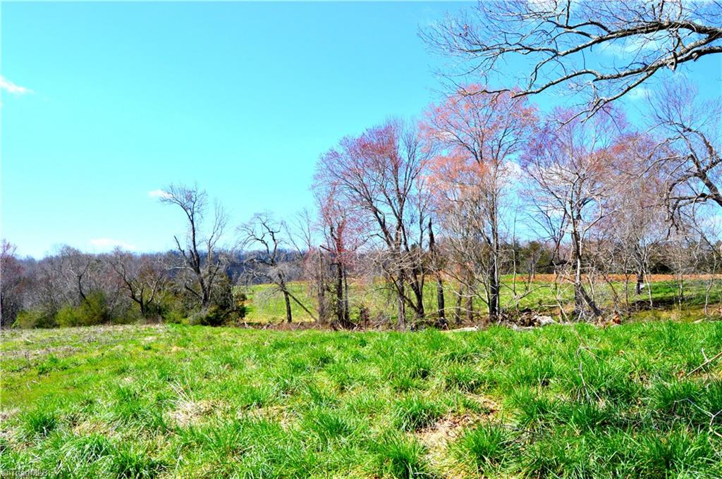 0 O Obryant Road Reidsville, NC 27320 - Photo 3 of 16 Gallery Image 3