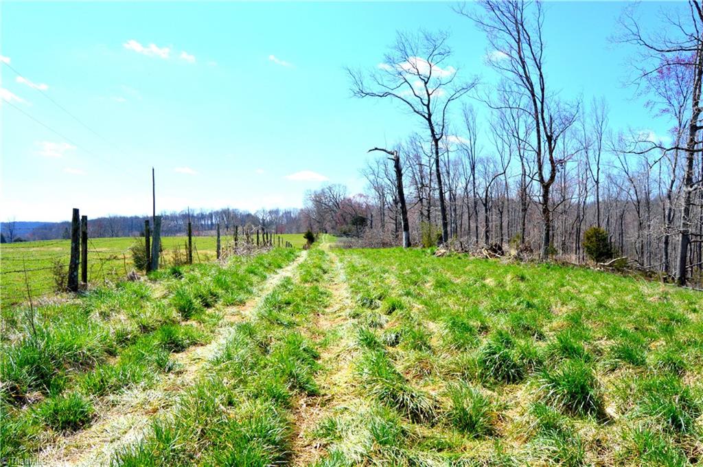 0 O Obryant Road Reidsville, NC 27320 - Photo 5 of 16 Gallery Image 5