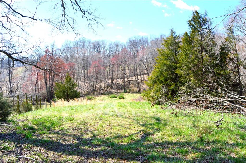0 O Obryant Road Reidsville, NC 27320 - Photo 8 of 16 Gallery Image 8
