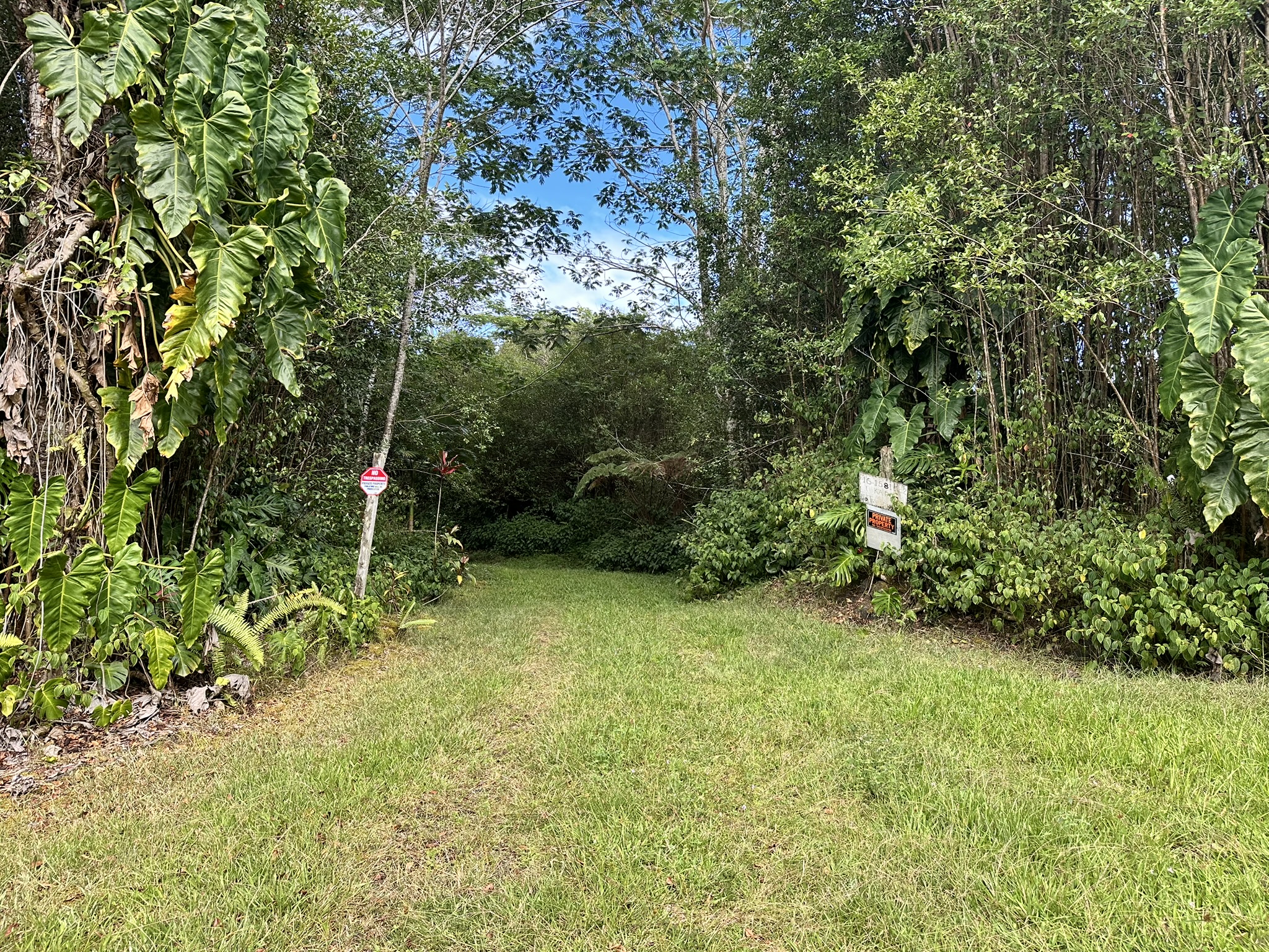 16-1581 Ao Rd Mountain View Mountain View, HI 96771 - Photo 12 of 21 a view of a backyard