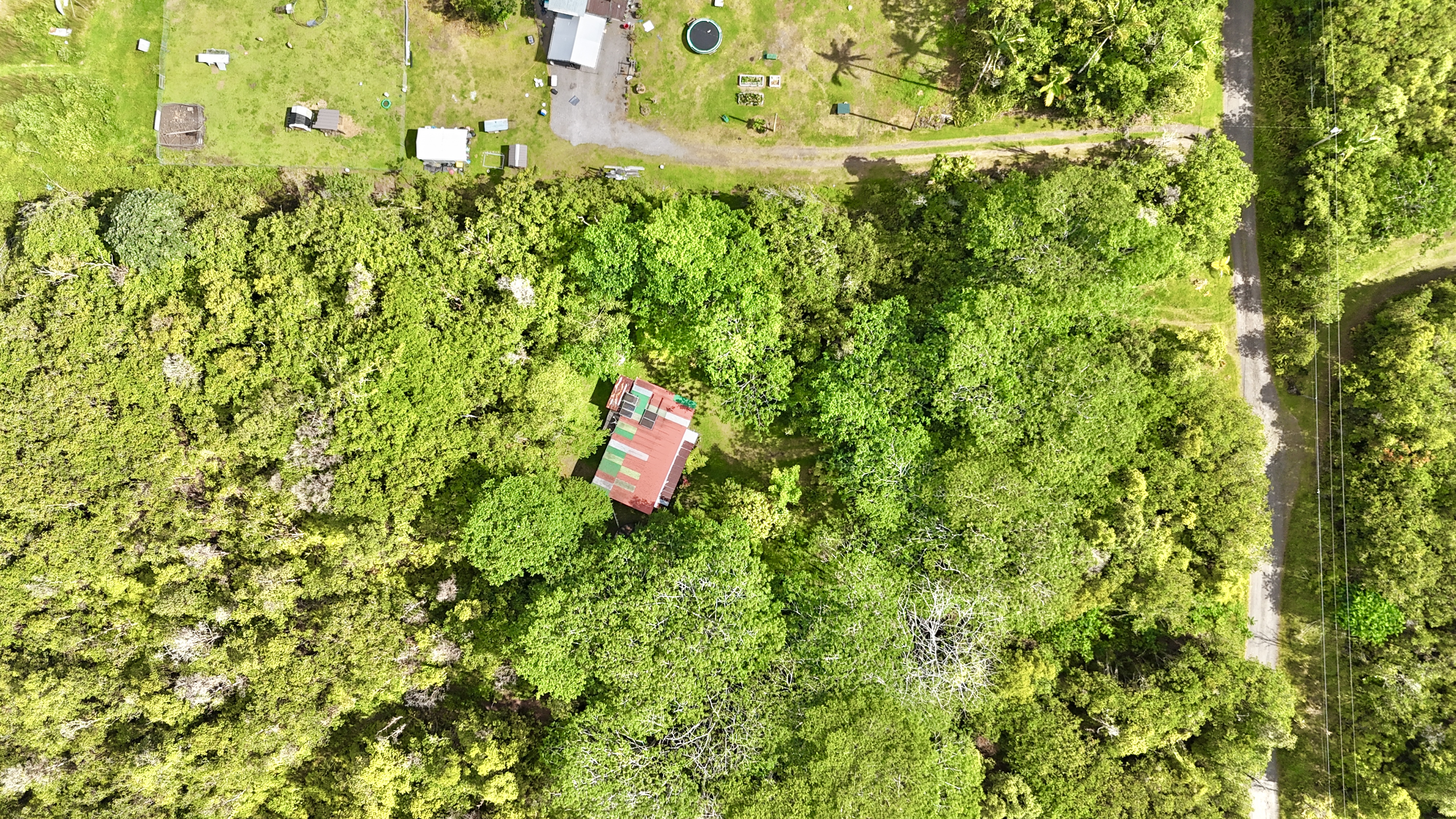 16-1581 Ao Rd Mountain View Mountain View, HI 96771 - Photo 19 of 21 a view of a house with a tree