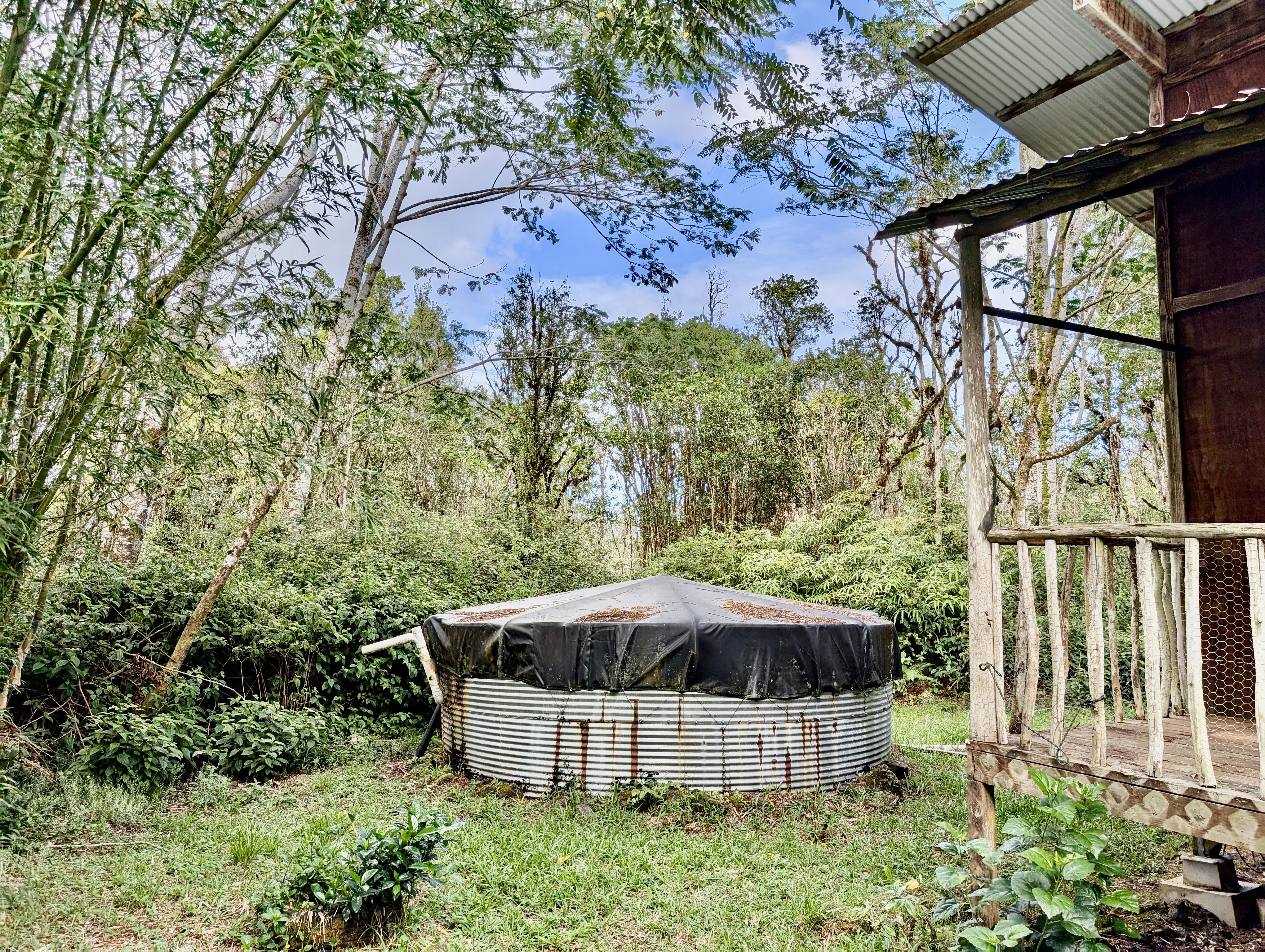 16-1581 Ao Rd Mountain View Mountain View, HI 96771 - Photo 20 of 21 a view of a garden with a patio and plants