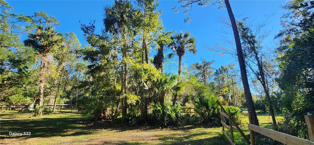 680 C R 5 East Bunnell, FL 32110 - Photo 6 of 37