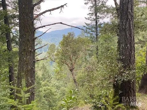 $175,000 | 19800 Old Cazadero Road, Cazadero, CA 95421