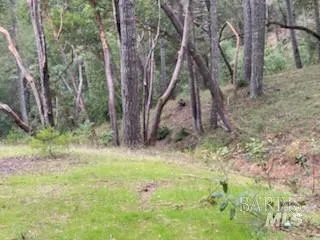 $175,000 | 19800 Old Cazadero Road, Cazadero, CA 95421