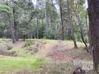 $175,000 | 19800 Old Cazadero Road, Cazadero, CA 95421