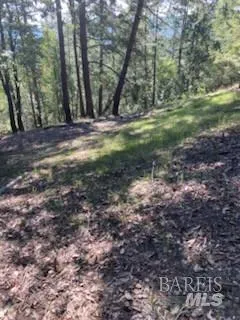 $175,000 | 19800 Old Cazadero Road, Cazadero, CA 95421