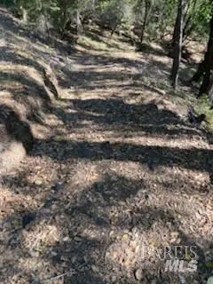 $175,000 | 19800 Old Cazadero Road, Cazadero, CA 95421