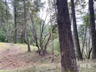 $175,000 | 19800 Old Cazadero Road, Cazadero, CA 95421