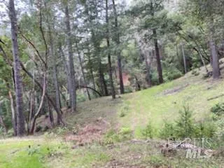 $175,000 | 19800 Old Cazadero Road, Cazadero, CA 95421
