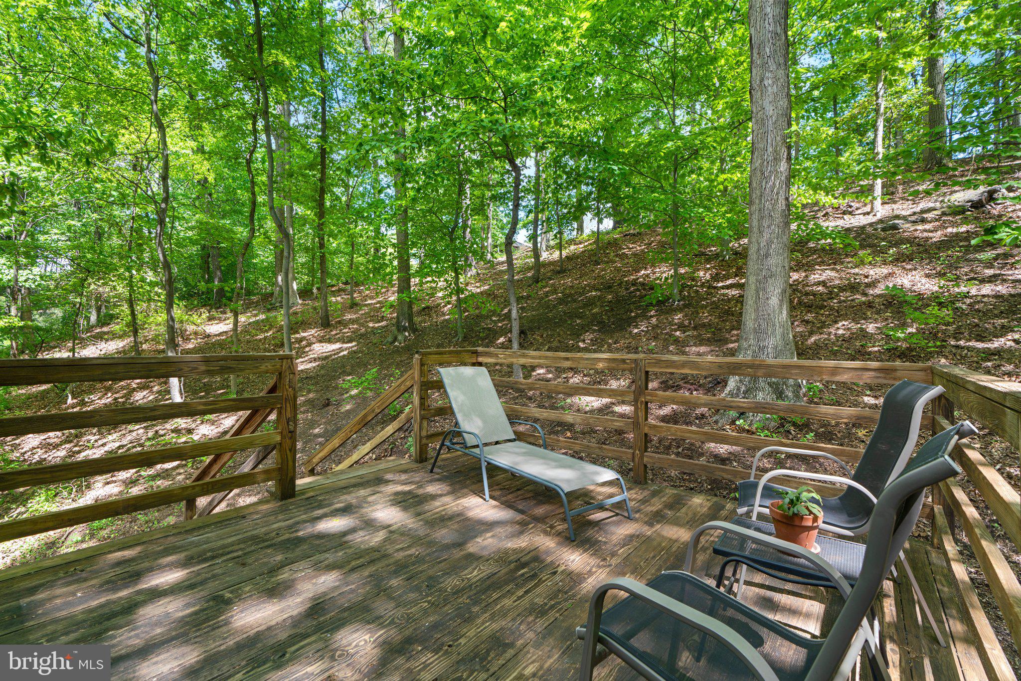2704 Cool Spring Road Adelphi, MD 20783 - Photo 38 of 45