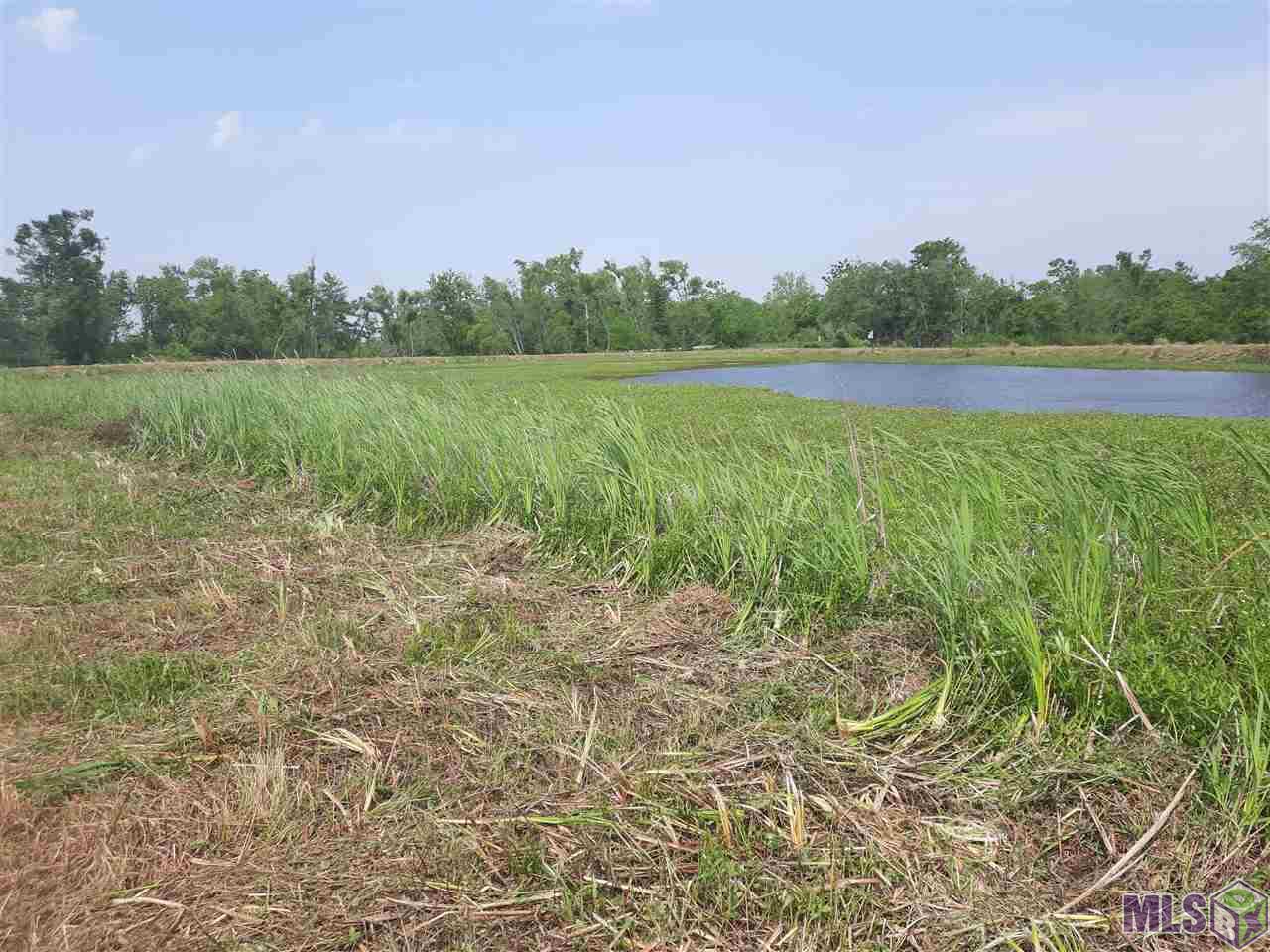 36397 Cypress Point Road Gueydan, LA 70542 - Photo 5 of 9 Gallery Image 5