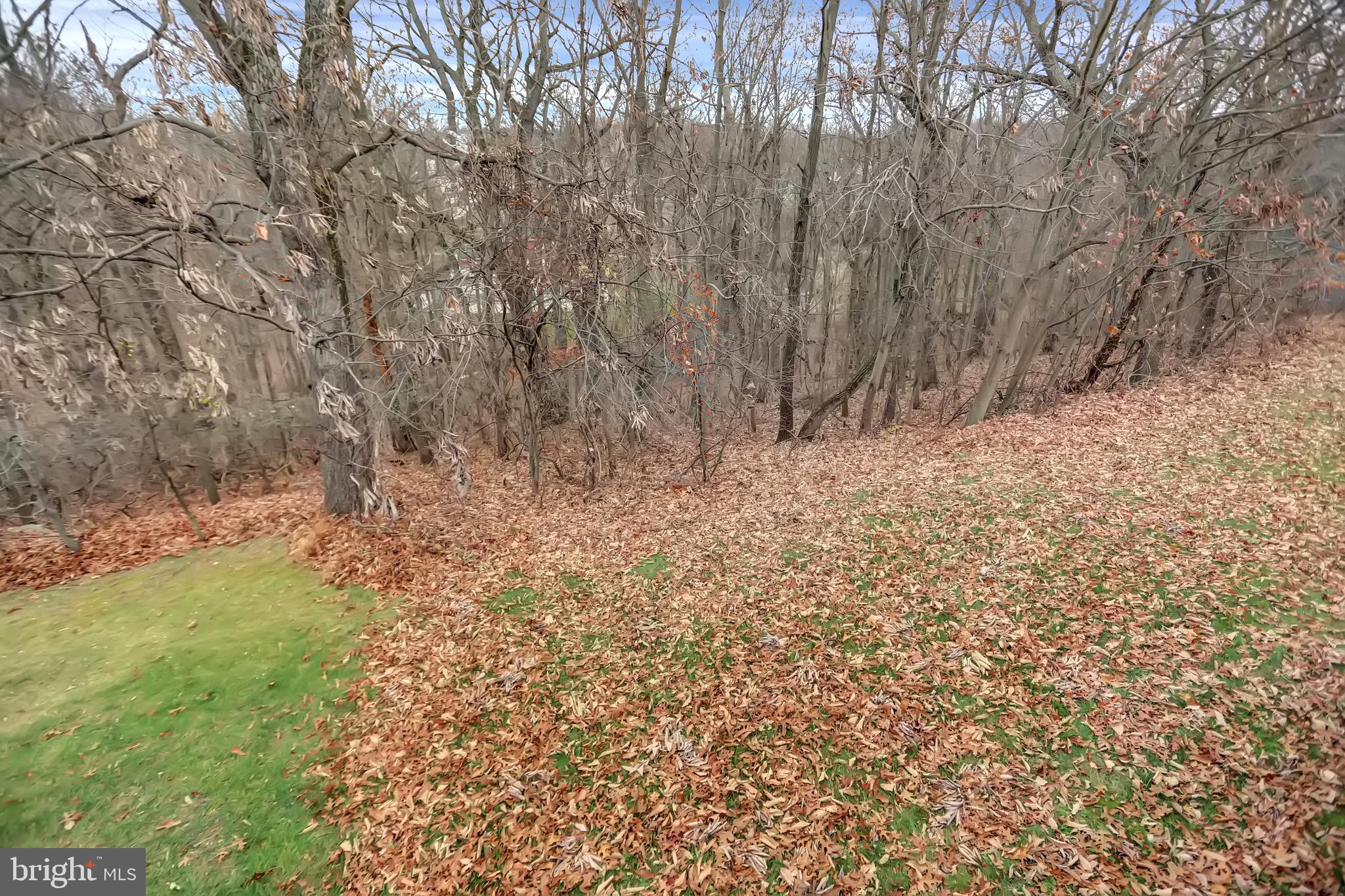 4524 Ingham Road Owings Mills, MD 21117 - Photo 23 of 40 Gallery Image 23