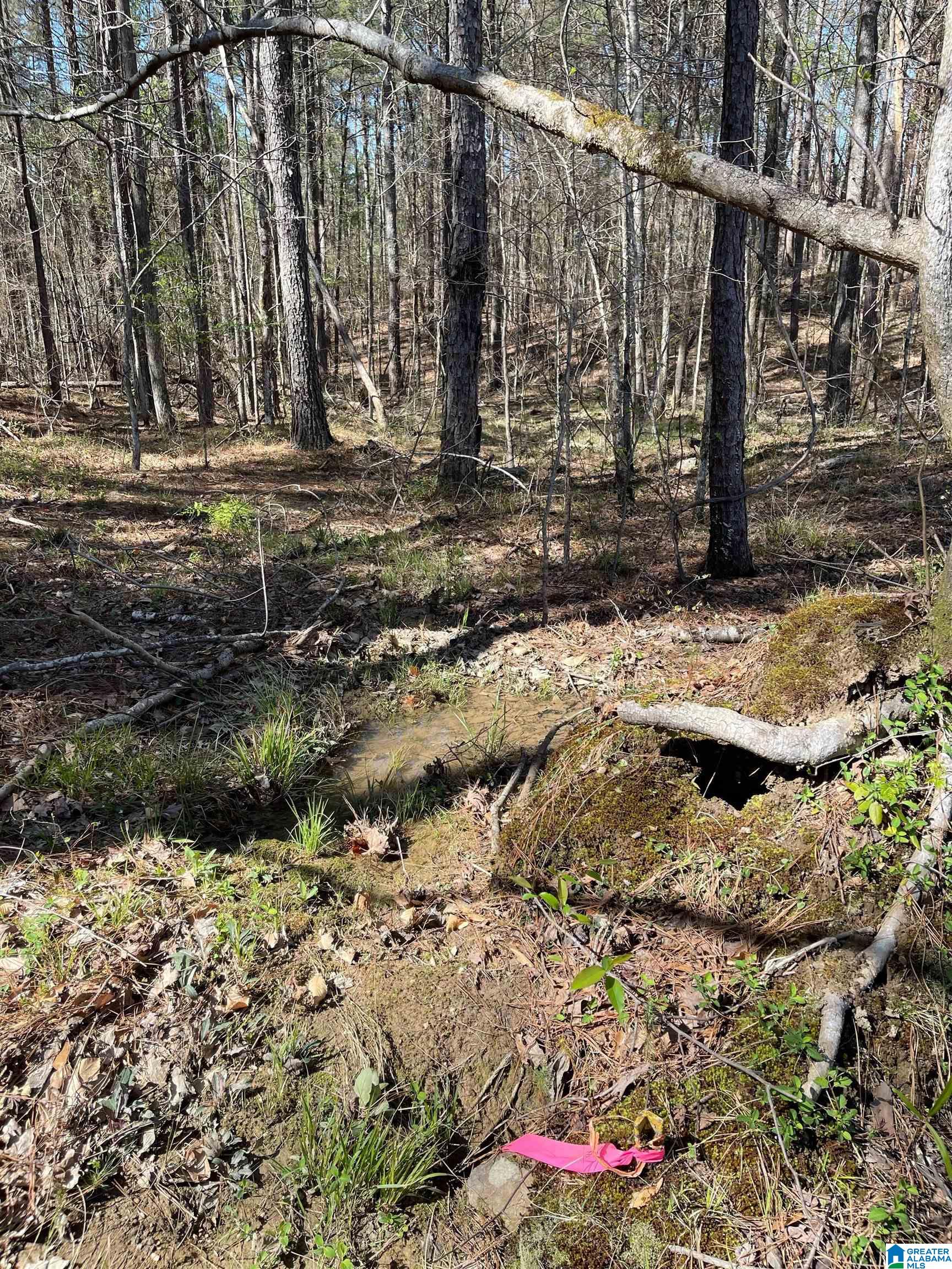 521 Sycamore Road Columbiana, AL 35051 - Photo 5 of 9