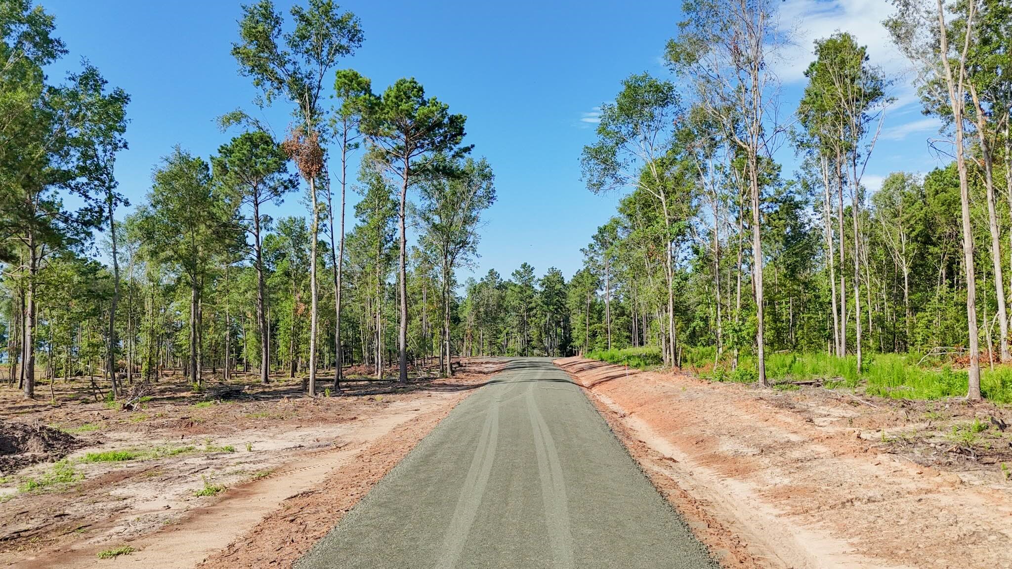 253 Debbie Lane Bronson, TX 75930 - Photo 16 of 17 a view of road with trees