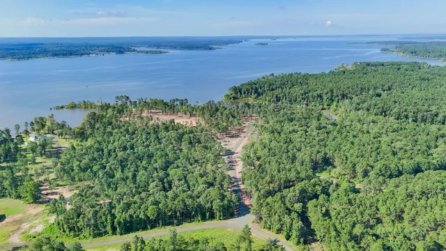 a view of a large yard with lots of green space