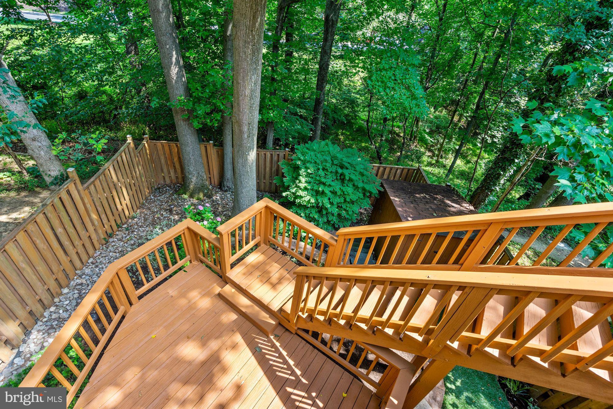 89 Catoctin Court Silver Spring, MD 20906 - Photo 6 of 29 Stairs going to Lower Deck