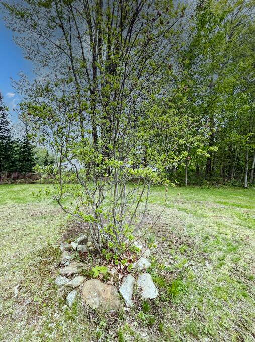 34 Beaver Road Sabattus, ME 04280 - Photo 41 of 53 41. Landscaping Throughout