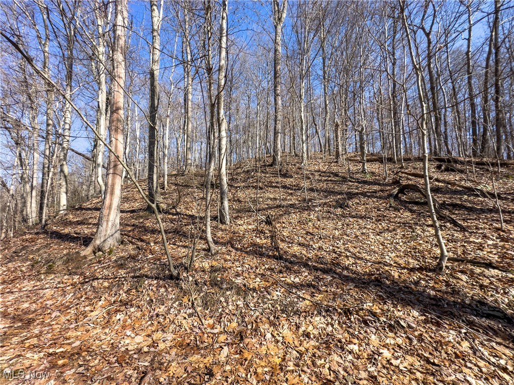 47562 Pratts Run Road Clarington, OH 43915 - Photo 36 of 49 View of landscape