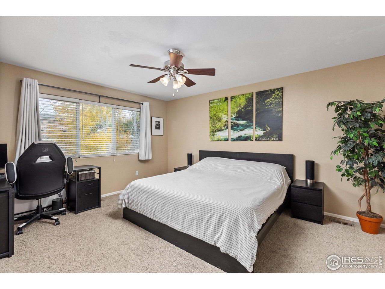 8714 19th St Road Greeley, CO 80634 - Photo 13 of 32 Gallery Image 13