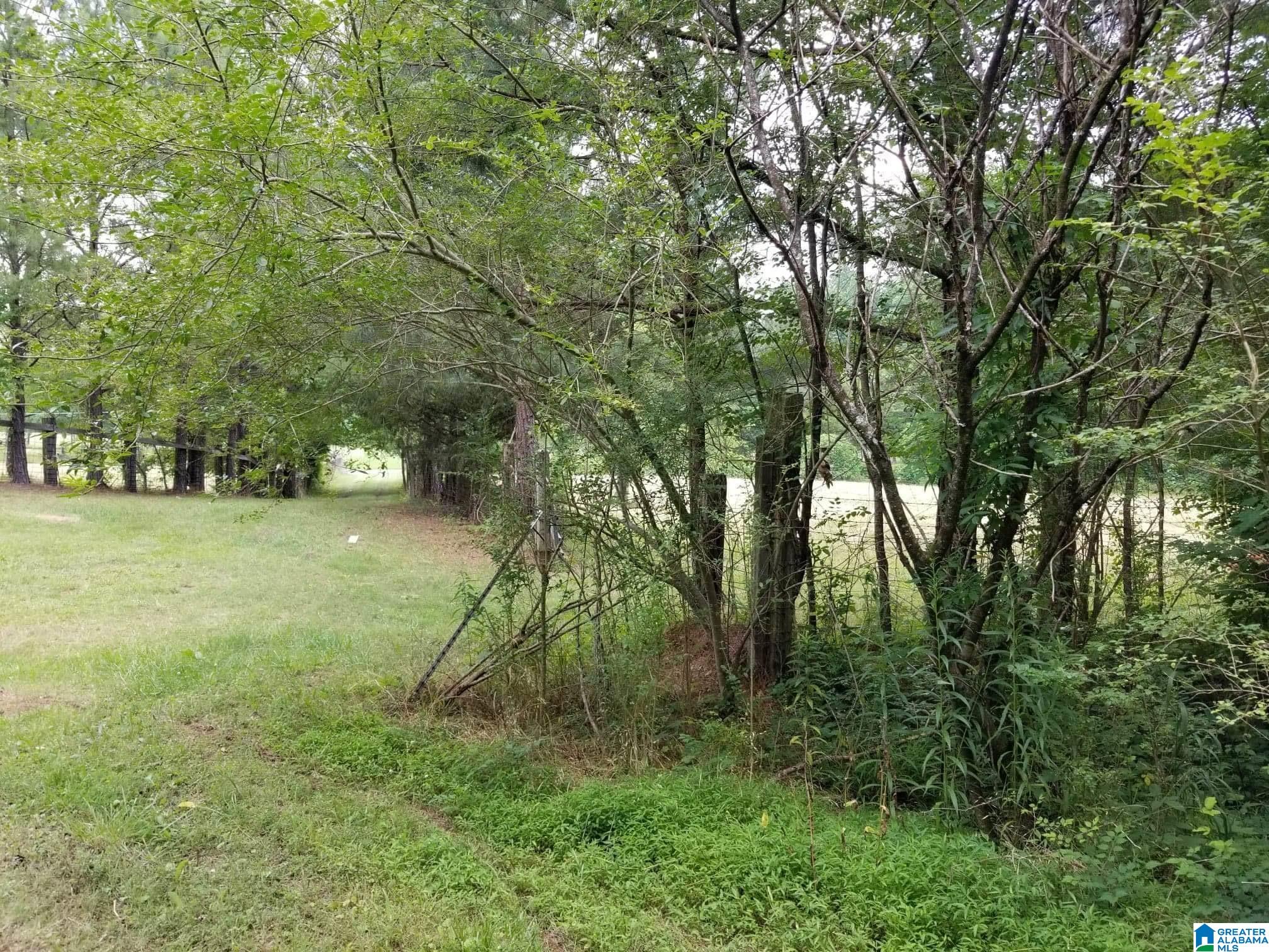 Honeycutt Road Remlap, AL 35133 - Photo 14 of 24