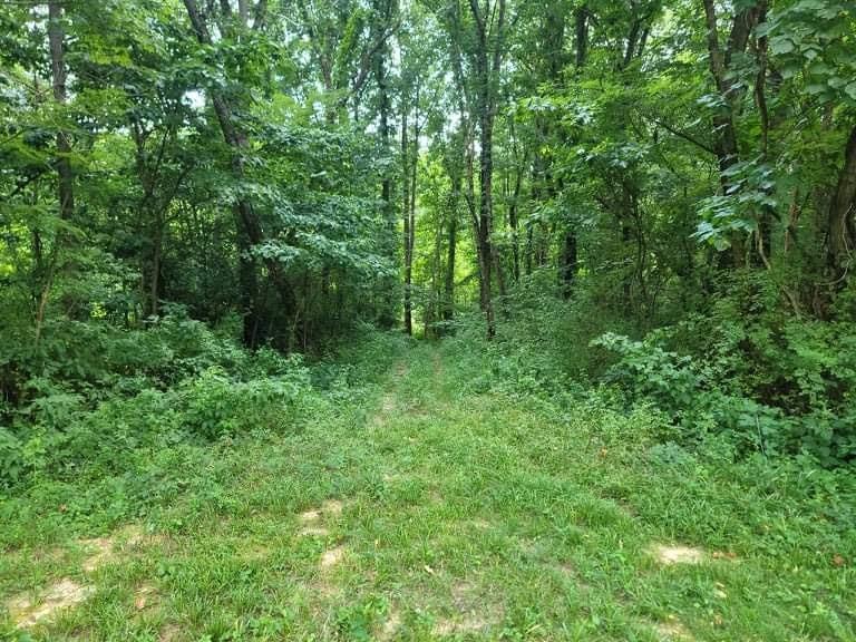 16078 St Marys Road Brookville, IN 47012 - Photo 4 of 13