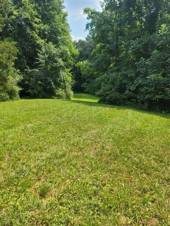 16078 St Marys Road Brookville, IN 47012 - Photo 6 of 13