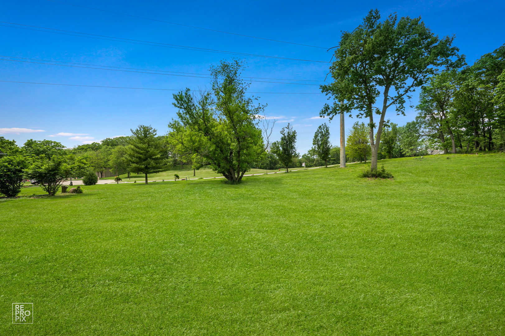 10S641 South Garfield Street Burr Ridge, IL 60527 - Photo 2 of 15 a view of a park with a tree in the background