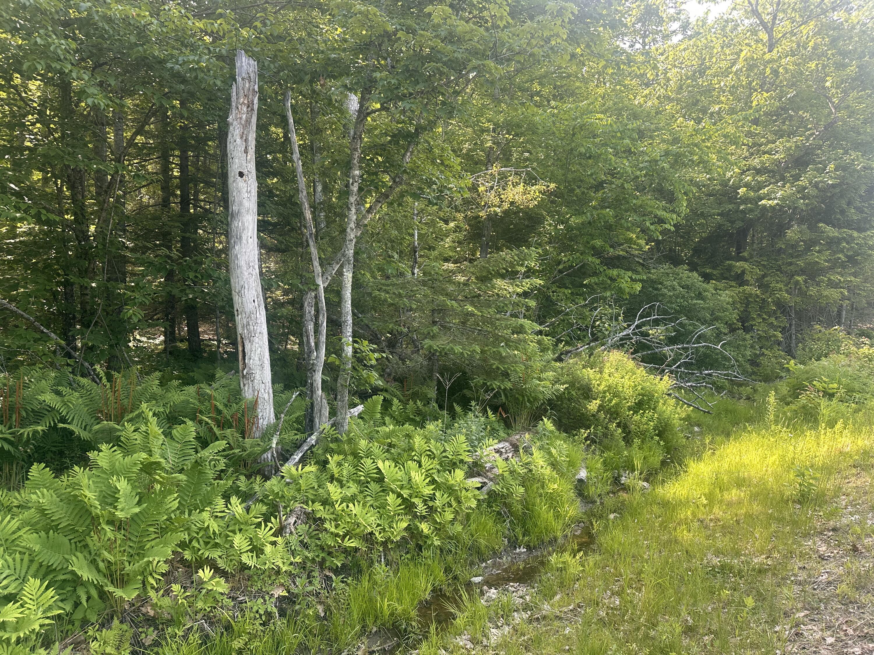 Lot #15 Greenacre Road Lincolnville, ME 04849 - Photo 23 of 23