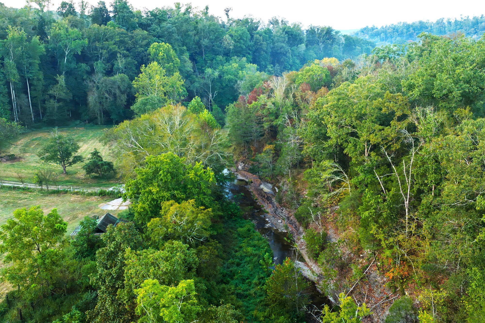 110 Wade Reed Road White Bluff, TN 37187 - Photo 79 of 94 Gallery Image 79
