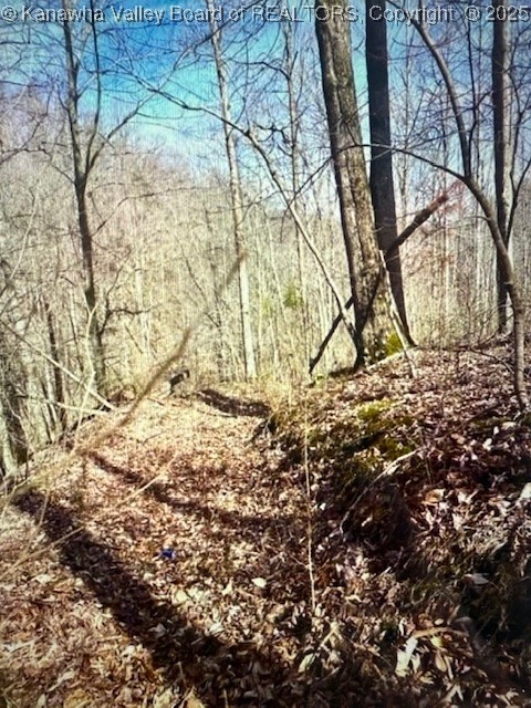 0 Utah Hollow Road Charleston, WV 25312 - Photo 10 of 39 Gallery Image 10