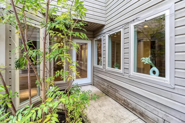 a potted plant sitting in front of a house