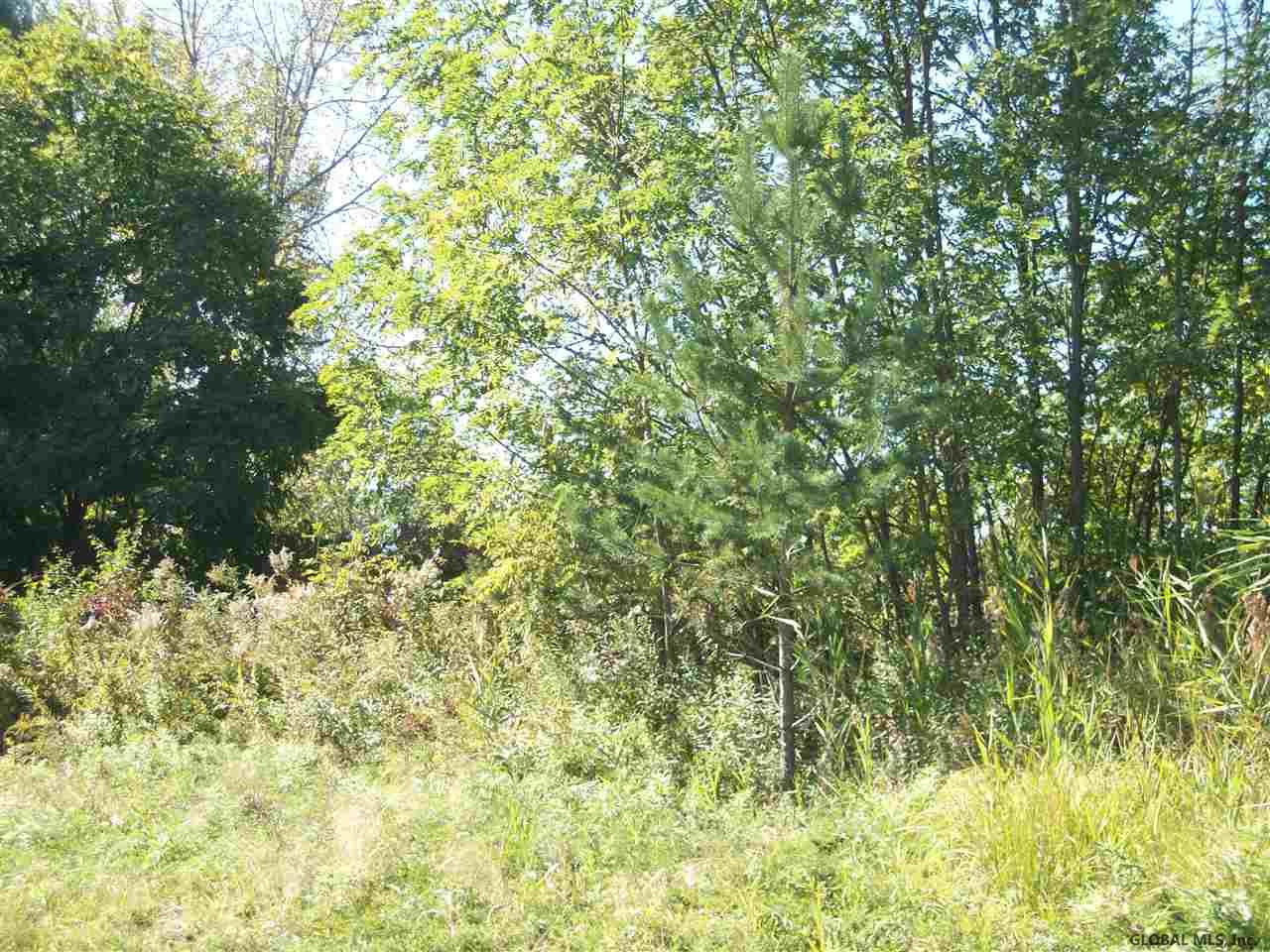 38 Haswell Road Watervliet, NY 12189 - Photo 10 of 20 Photo 10