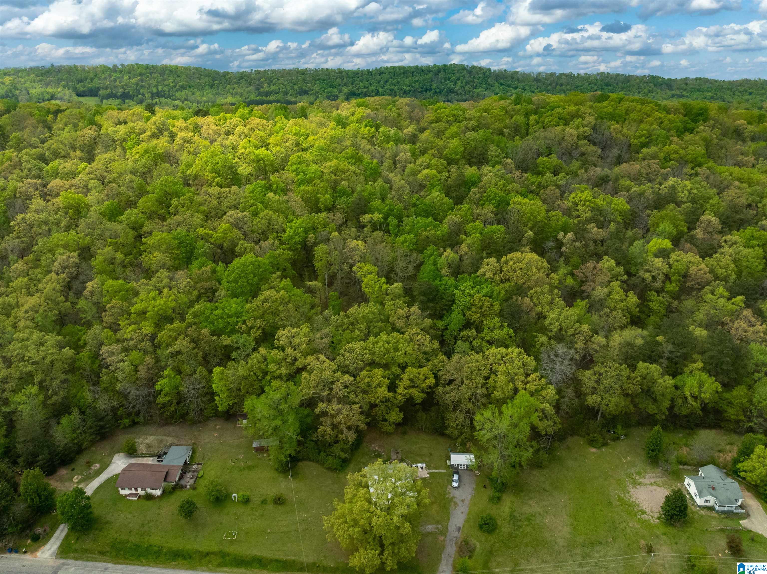16631 Remlap Drive Remlap, AL 35133 - Photo 33 of 41