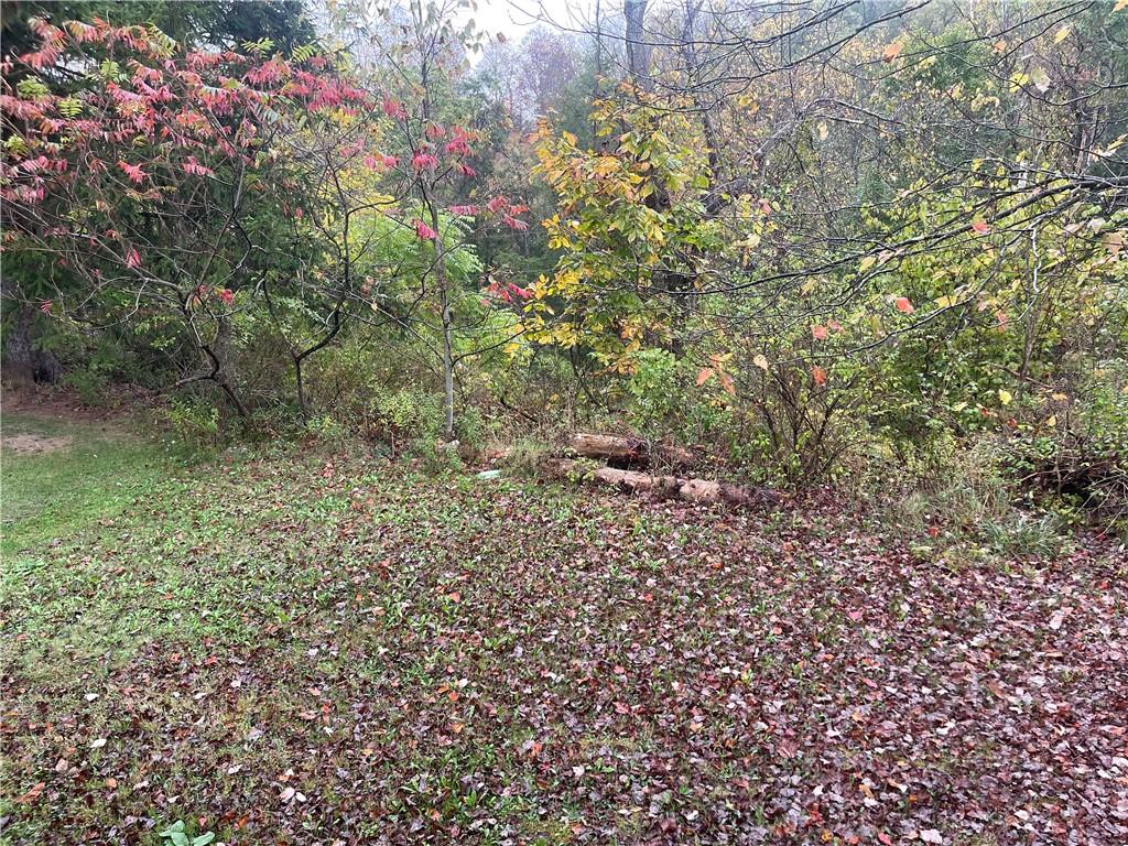 105 Mohawk Street Bruin, PA 16022 - Photo 16 of 16 a view of a yard with plants and large trees