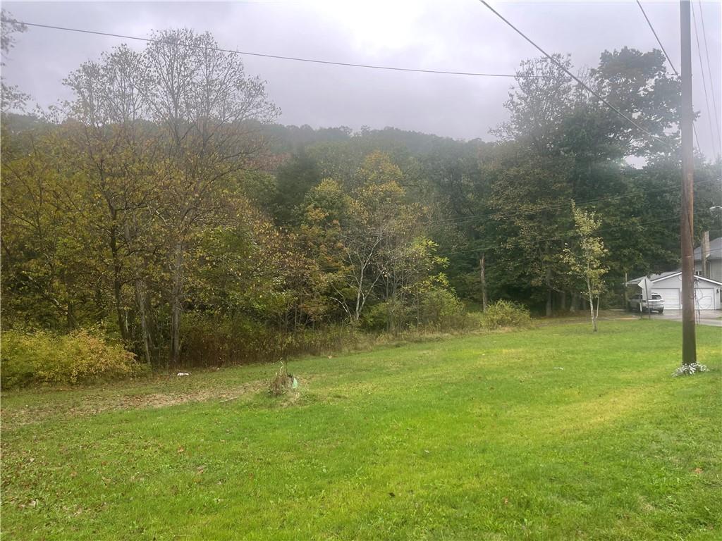 105 Mohawk Street Bruin, PA 16022 - Photo 4 of 16 a view of outdoor space and yard