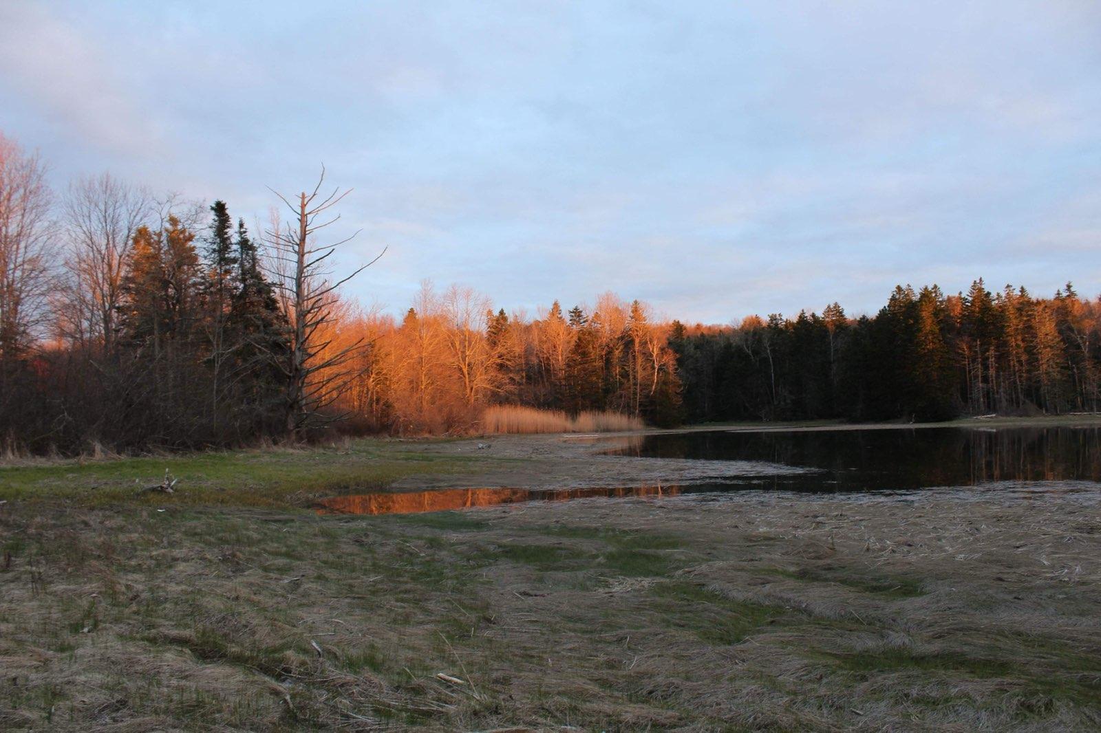 1244 Cape Jellison Road Stockton Springs, ME 04981 - Photo 28 of 28 99809