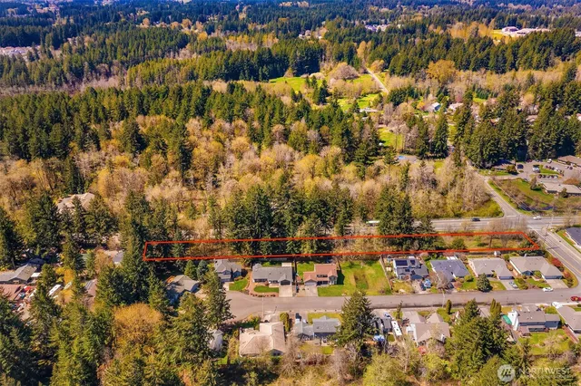 a view of yard with large trees
