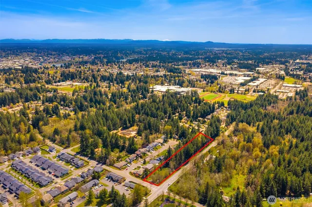 a view of a yard and a car parked