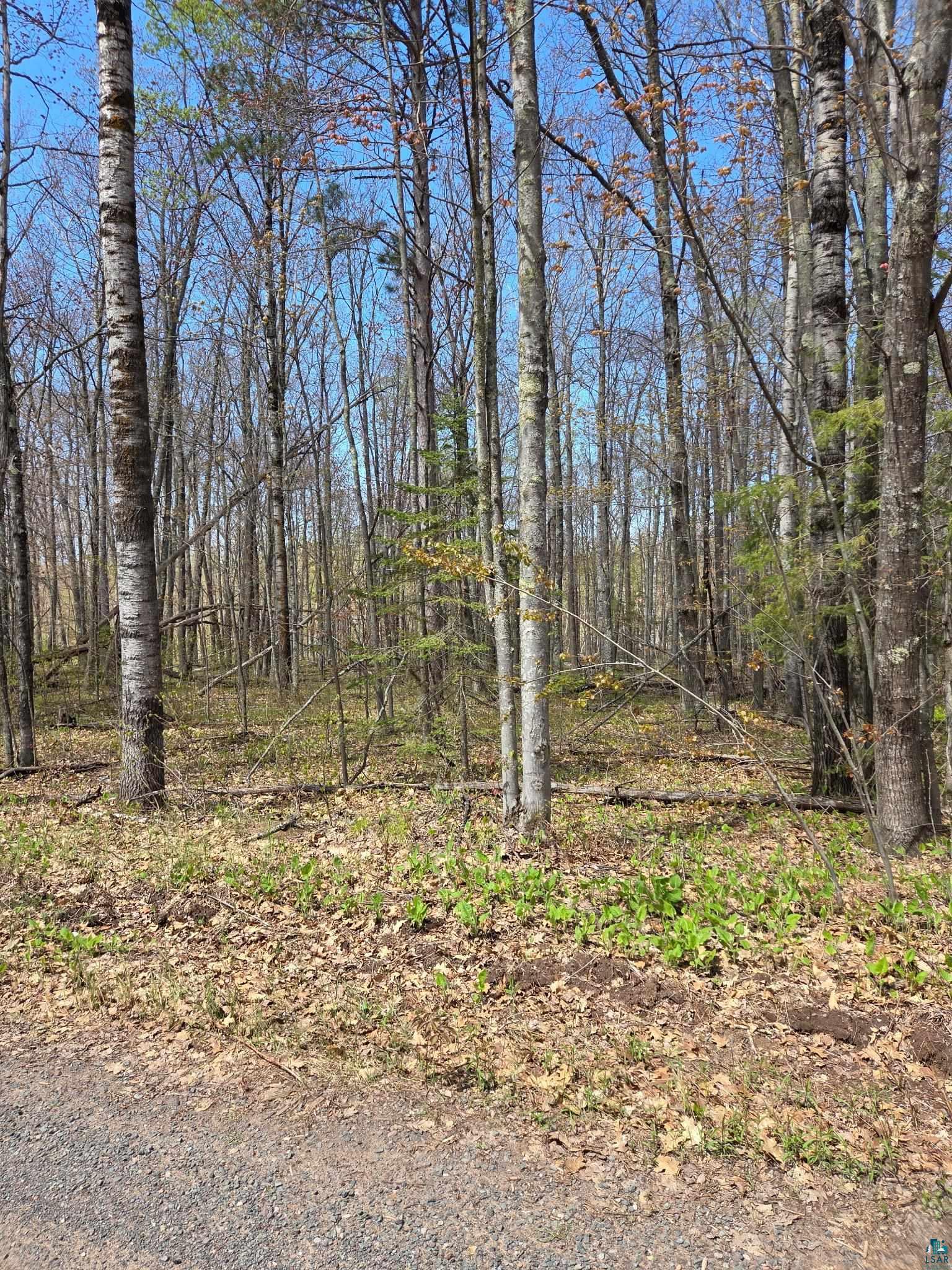 17 Short Cut Road Herbster, WI 54844 - Photo 4 of 6