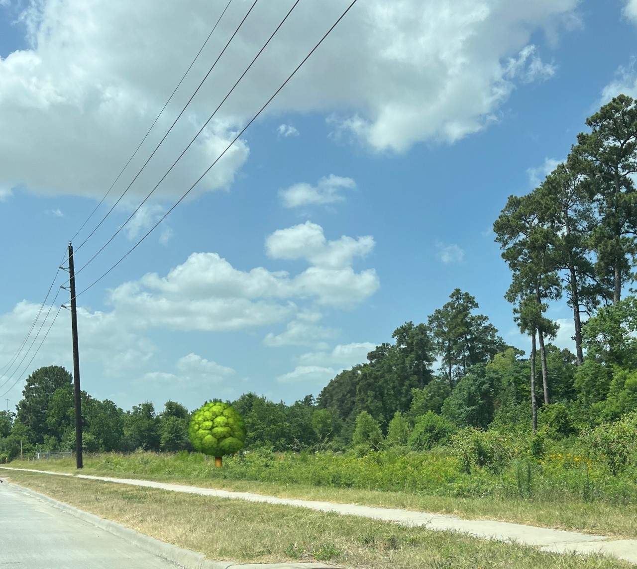 0 State Highway Tomball, TX 77375 - Photo 1 of 7