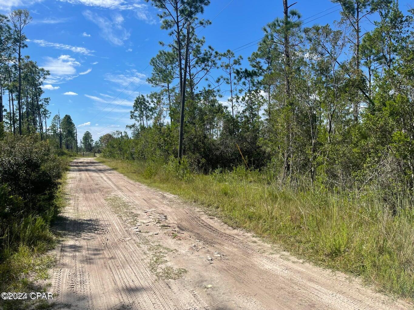0 Plum Nearly Road Fountain, FL 32438 - Photo 2 of 7