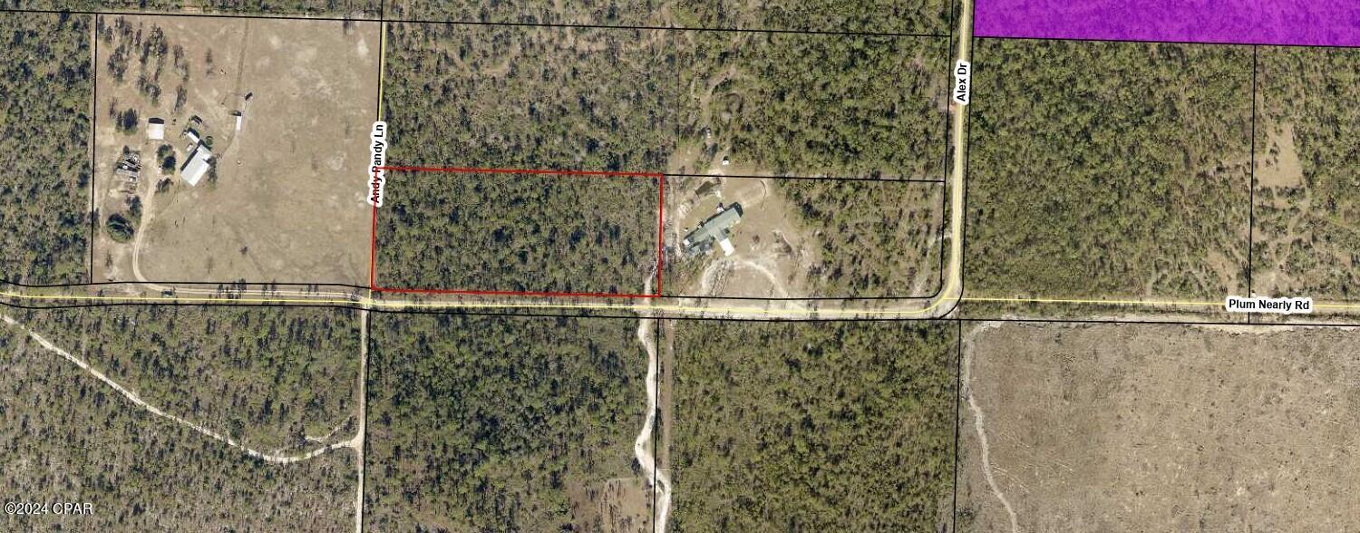 0 Plum Nearly Road Fountain, FL 32438 - Photo 5 of 7