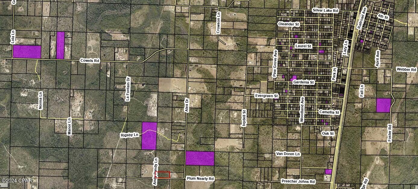 0 Plum Nearly Road Fountain, FL 32438 - Photo 6 of 7