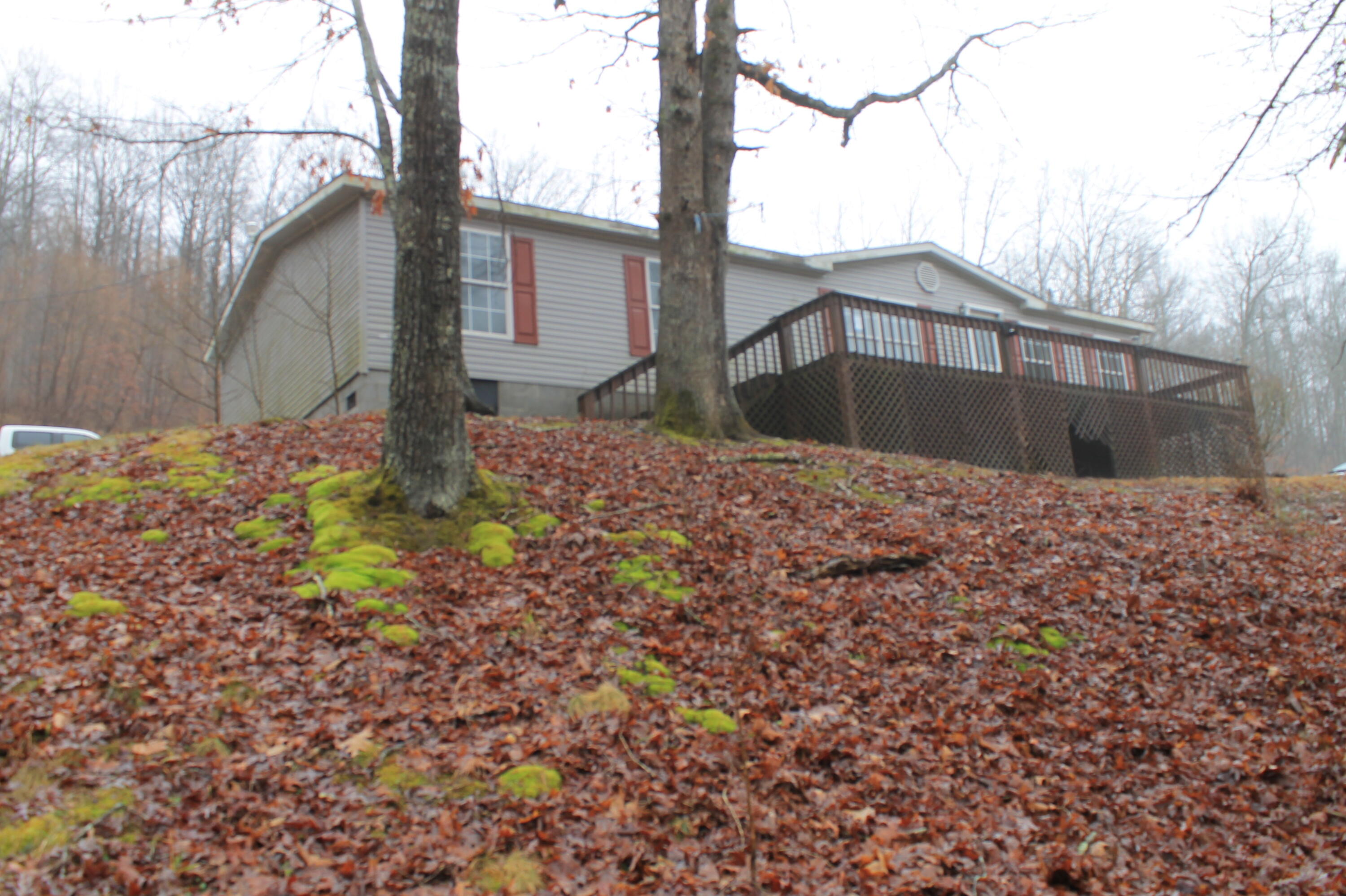 956 Lower Hatcher Creek Road Stanton, KY 40380 - Photo 2 of 36 IMG_7464