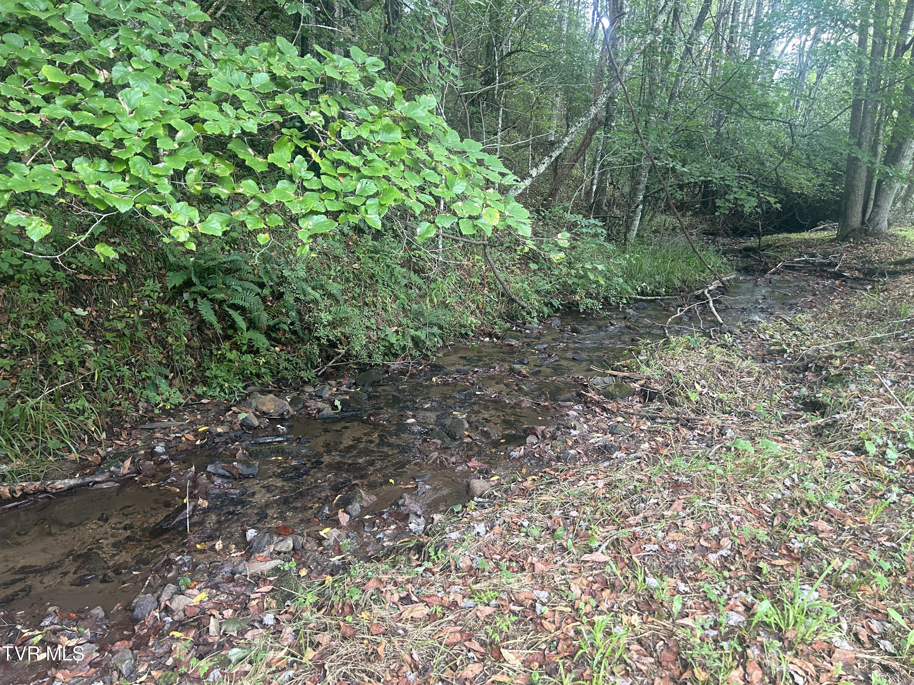 21240 Locust Branch Road Damascus, VA 24236 - Photo 40 of 58 7B5F99CD-12FA-457C-82E2-6FA27C82E705